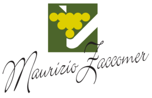 logo-zaccomer